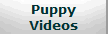 Puppy
Videos